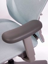 Healthy Chair Q1 Mesh