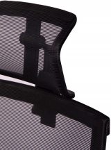 Healthy Chair Lite